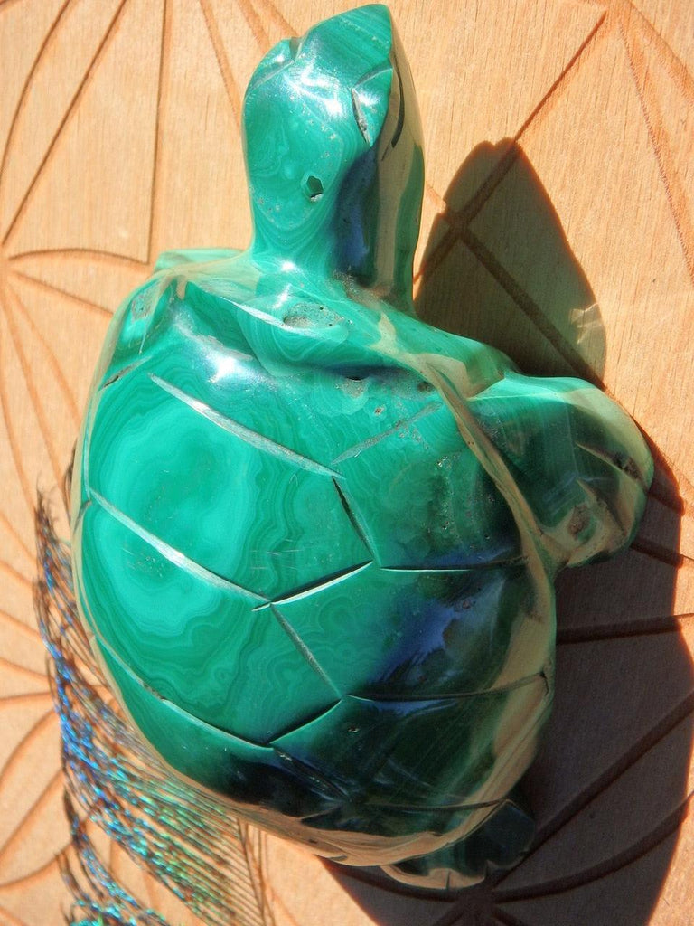 Lovely Green Patterns Large Malachite Turtle Carving REDUCED - Earth Family Crystals