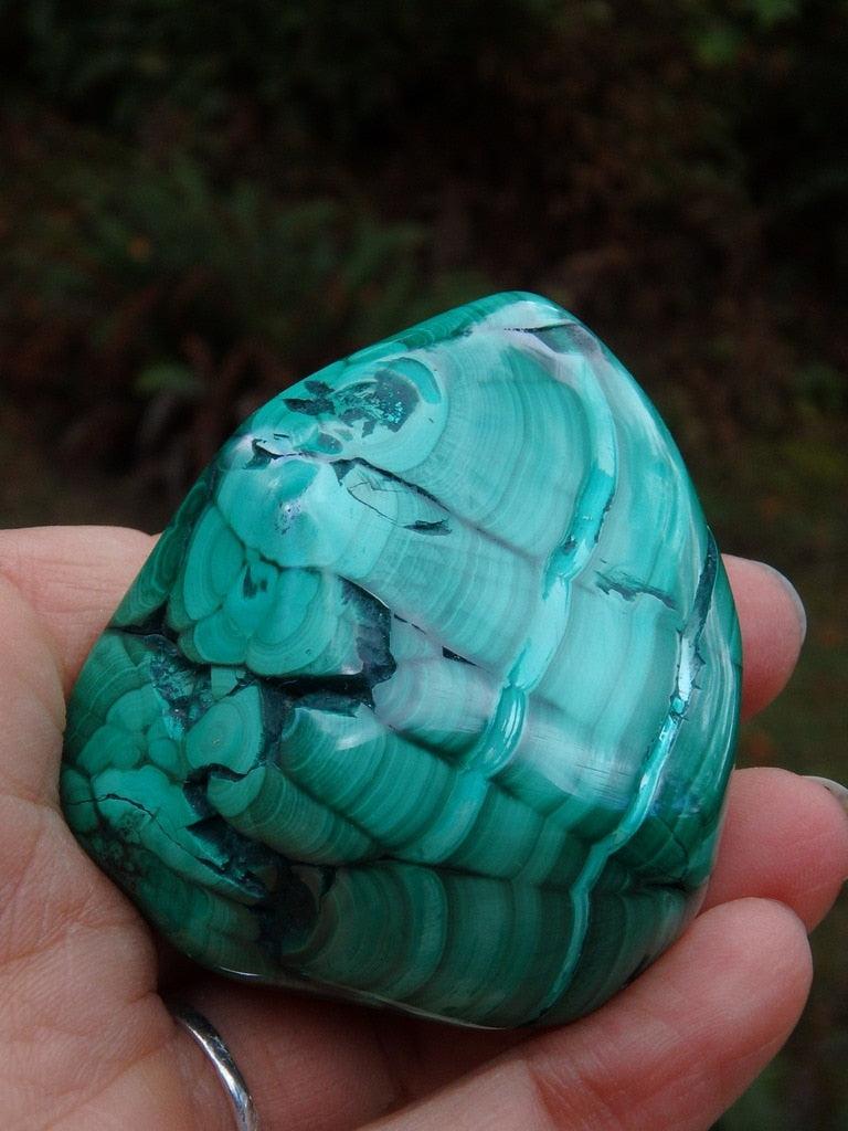 High Shine & Fabulous Contrast Malachite Specimen With Caves - Earth Family Crystals