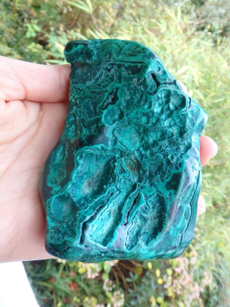 Incredible Large Greens Swirls Malachite Free-Form Specimen - Earth Family Crystals