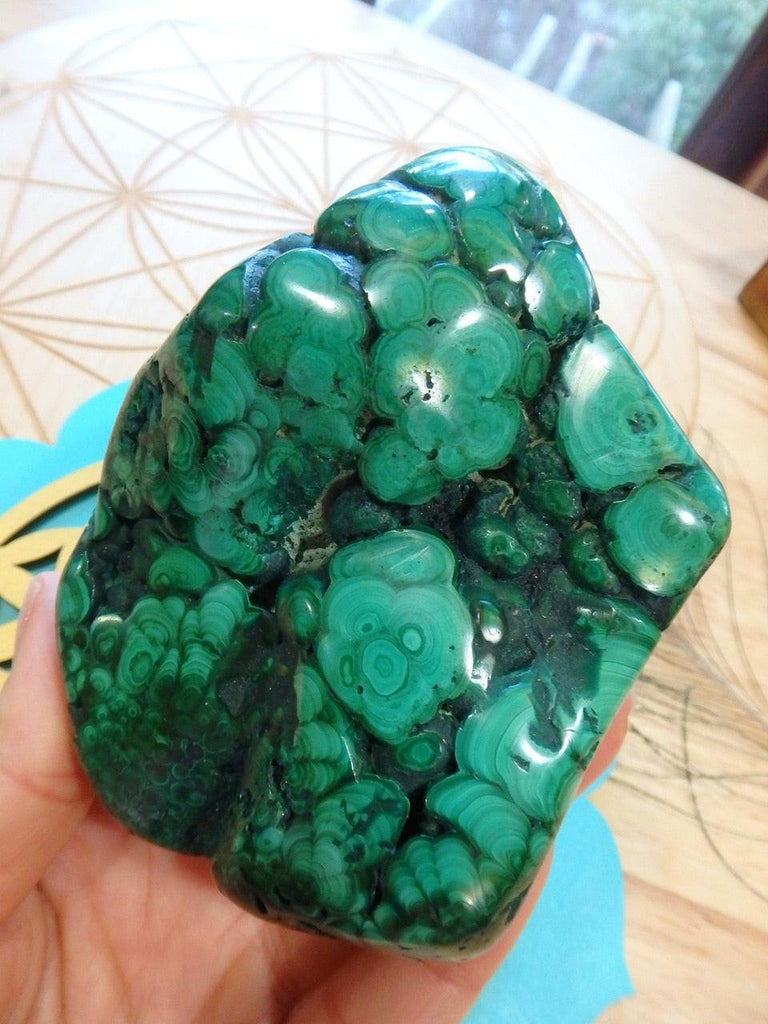 Fantastic Green Orbs! Large Partially Polished Malachite Specimen - Earth Family Crystals