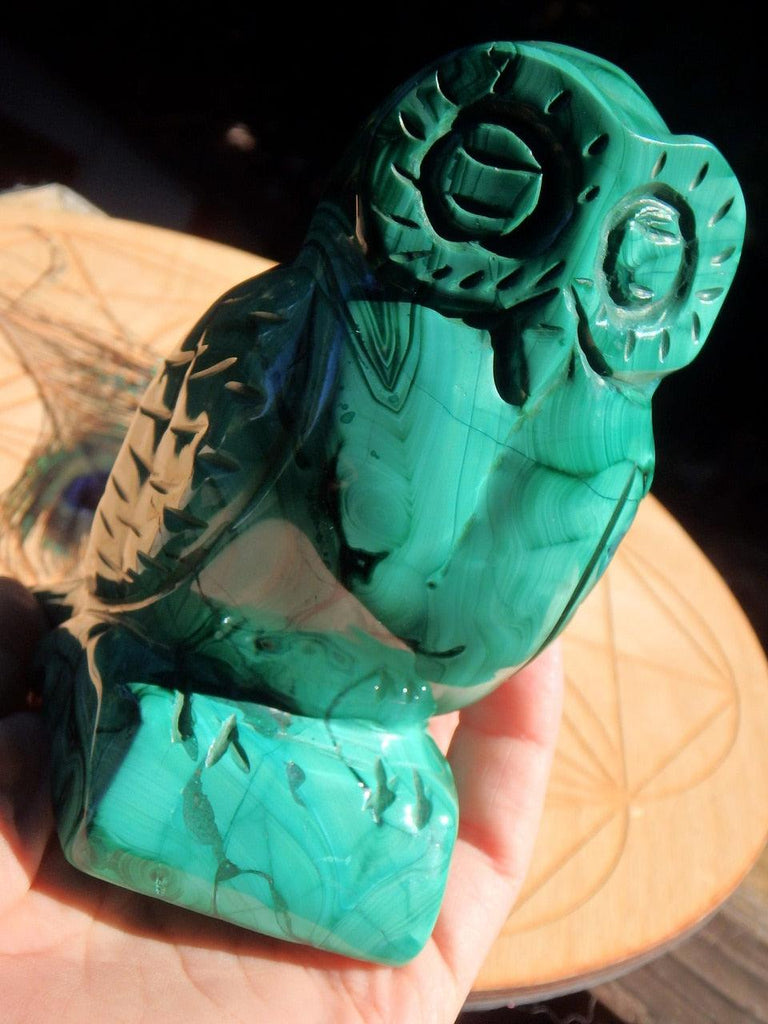 XL Wise Old Owl Malachite Animal Display Carving - Earth Family Crystals