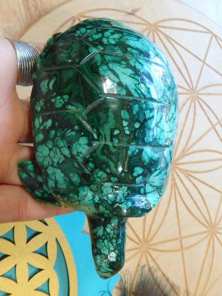 Incredible Patterns Large Malachite Turtle Carving - Earth Family Crystals