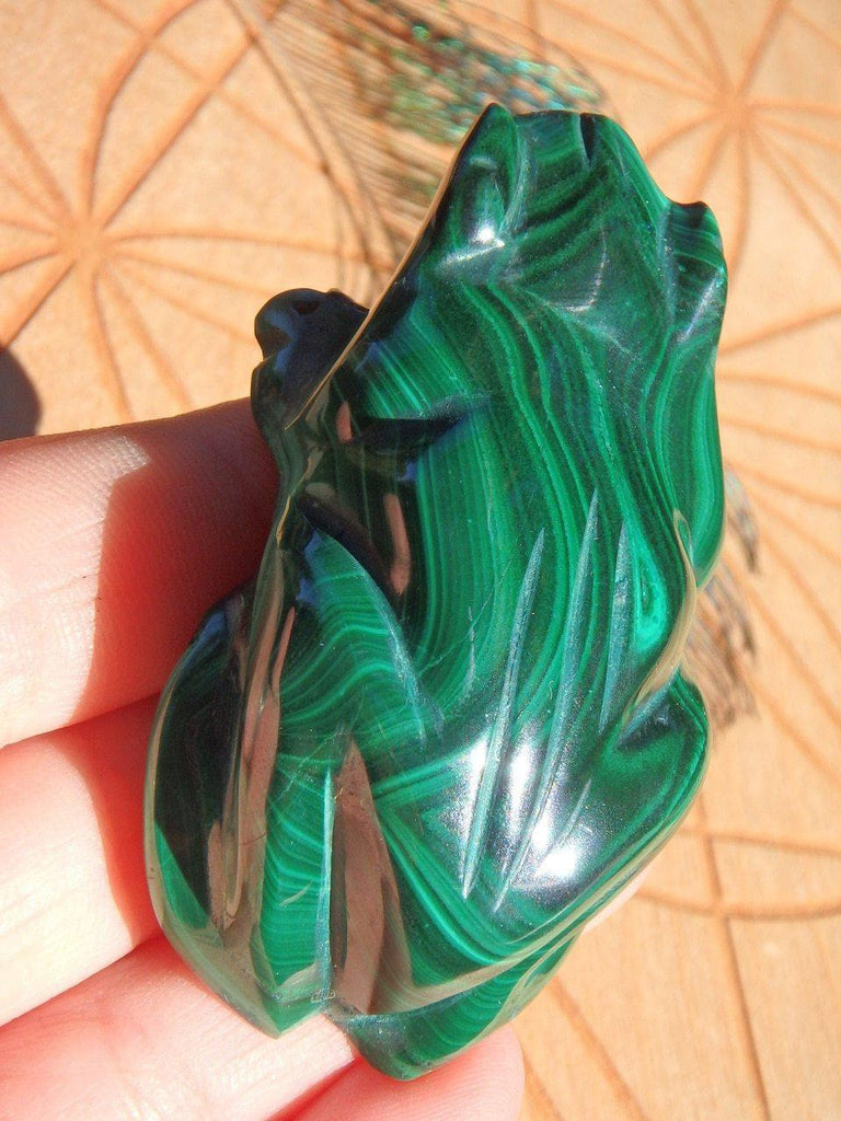 Adorable Deep Green Malachite Frog Carving - Earth Family Crystals