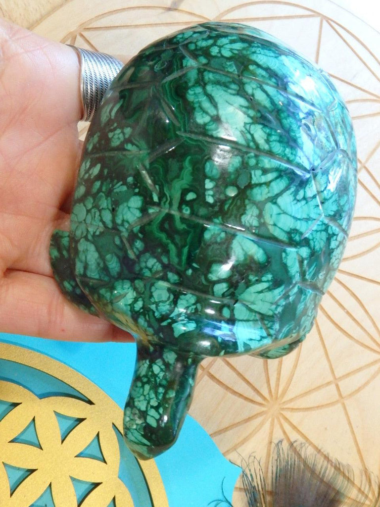 Incredible Patterns Large Malachite Turtle Carving - Earth Family Crystals