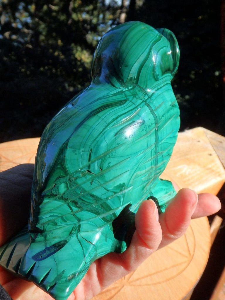 XL Wise Old Owl Malachite Animal Display Carving - Earth Family Crystals