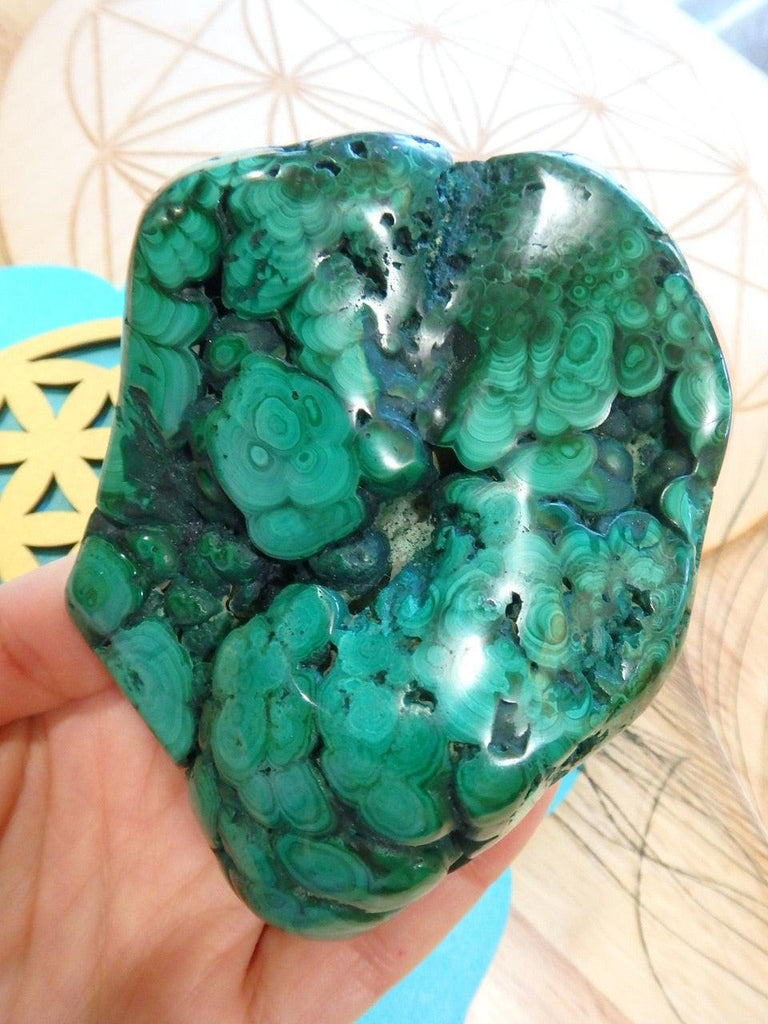 Fantastic Green Orbs! Large Partially Polished Malachite Specimen - Earth Family Crystals