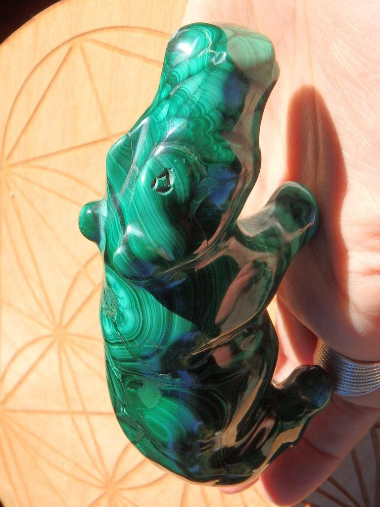 Gorgeous Swirls Large Malachite Hippopotamus Animal Carving - Earth Family Crystals