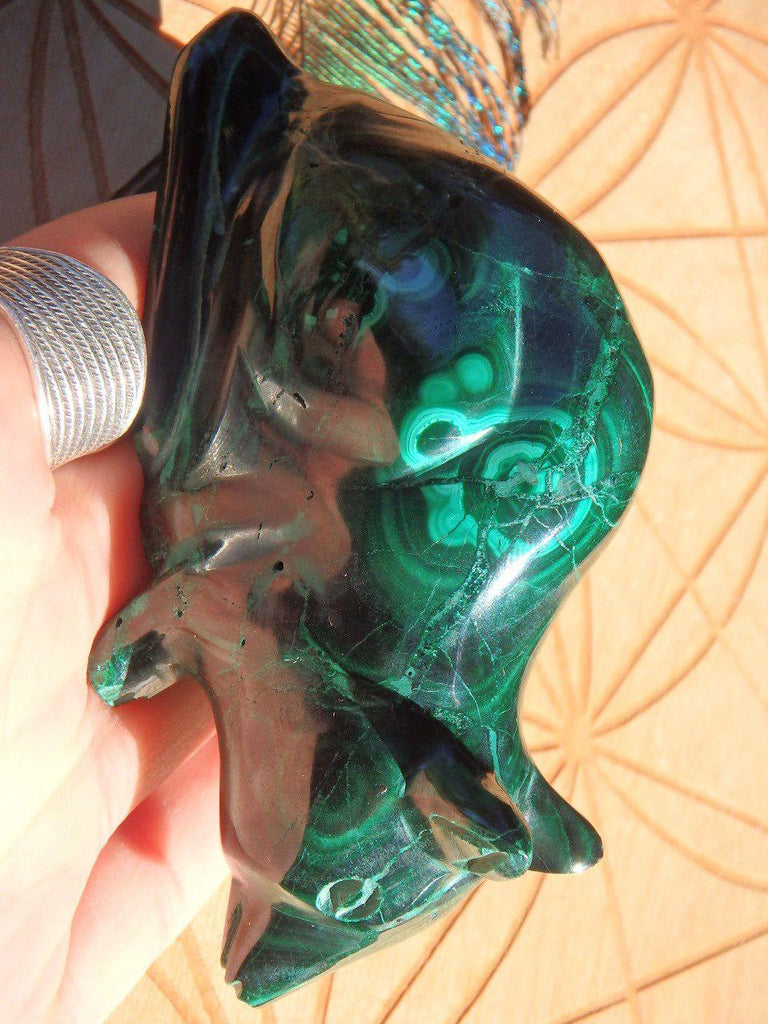 Malachite Hero Rat Carving - Earth Family Crystals