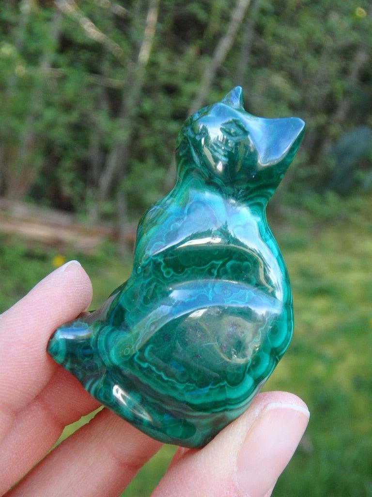 Precious Polsihed Malachite Cat Carving Specimen - Earth Family Crystals