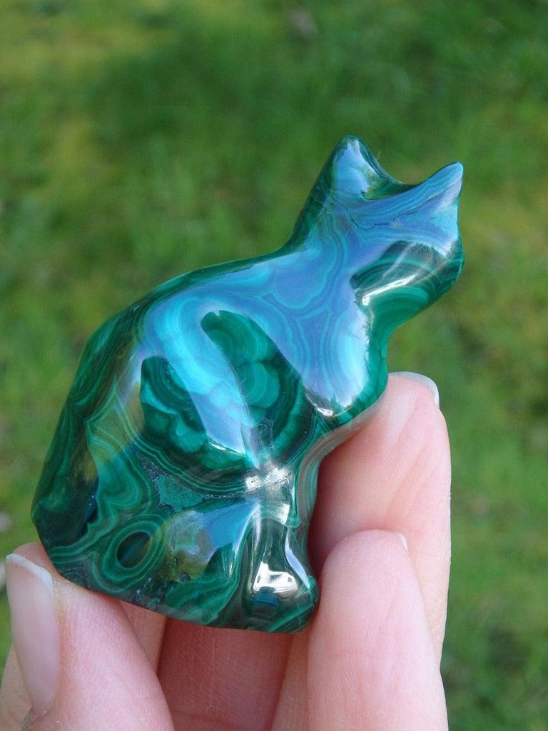 Precious Polsihed Malachite Cat Carving Specimen - Earth Family Crystals