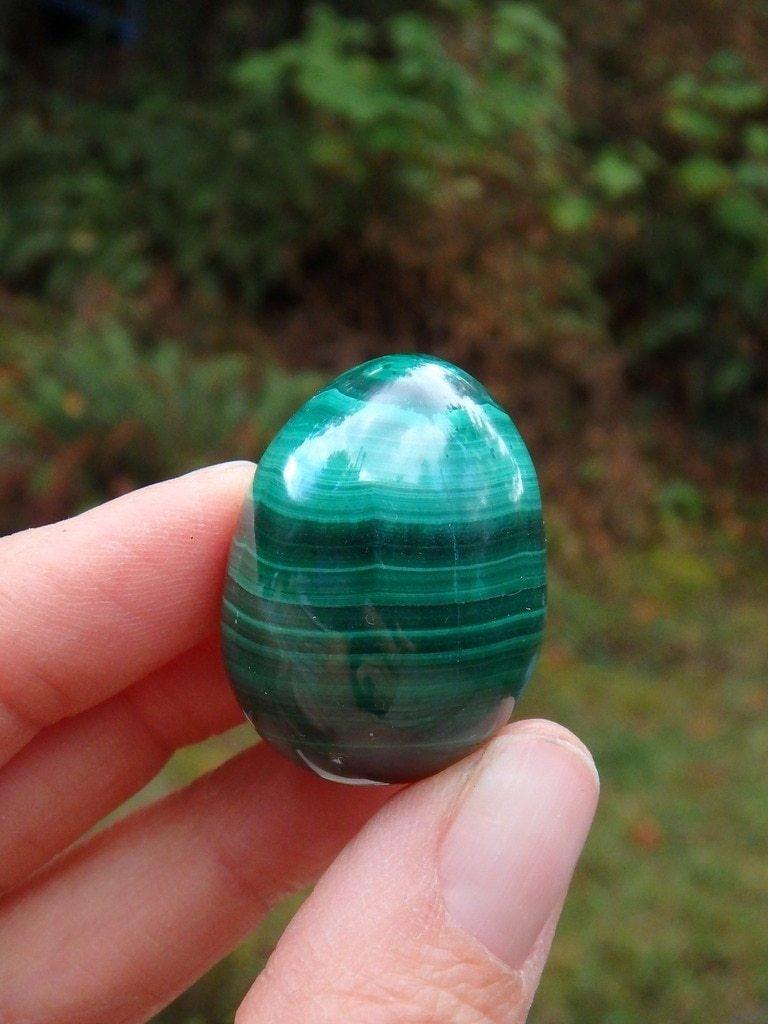 Cute & Small Malachite Egg Carving - Earth Family Crystals