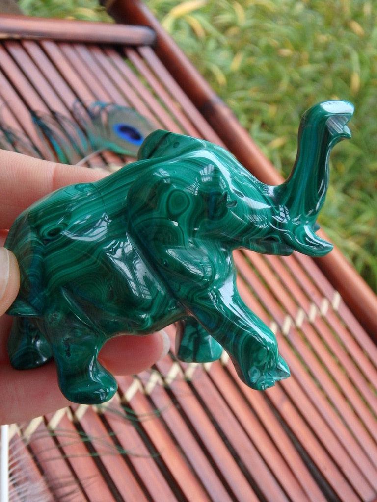 Friendly Malachite Elephant Carving (REDUCED)** - Earth Family Crystals