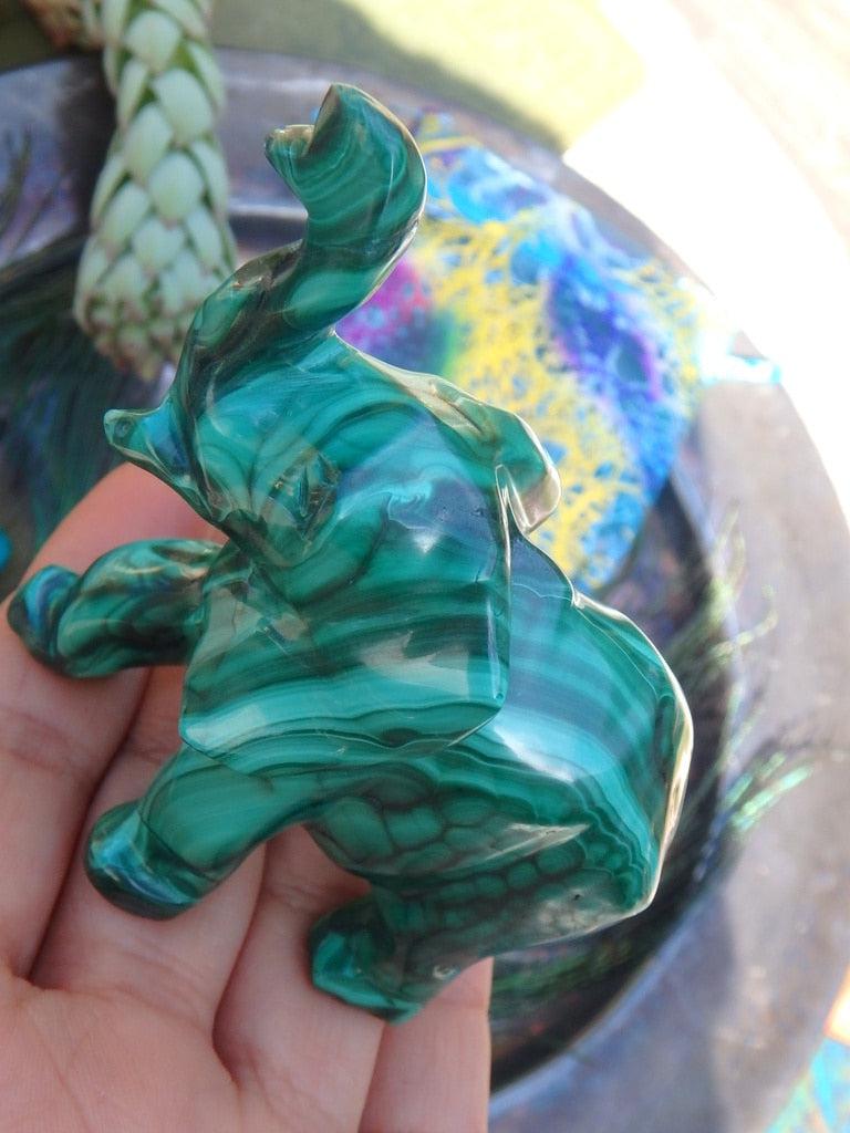 Swirling Green Patterns Malachite Gemstone Elephant Carving - Earth Family Crystals