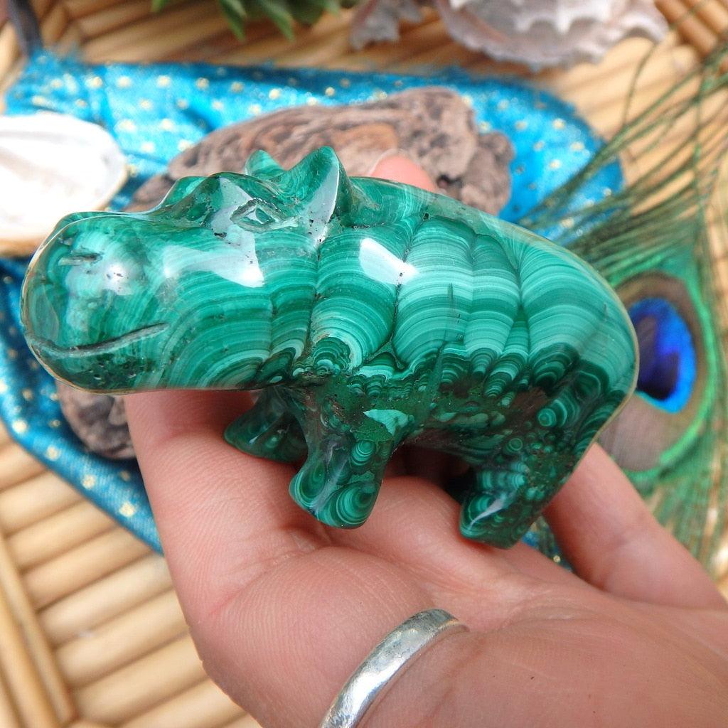 Green Swirls Malachite Hippo Carving - Earth Family Crystals