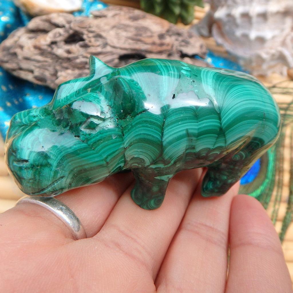 Green Swirls Malachite Hippo Carving - Earth Family Crystals