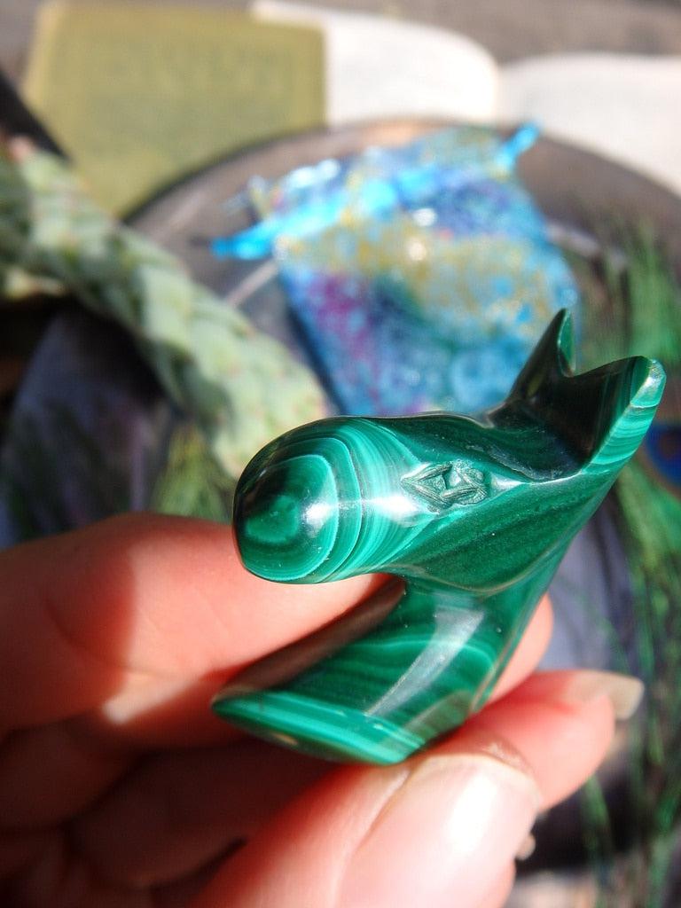 Malachite Horse Head Carving - Earth Family Crystals