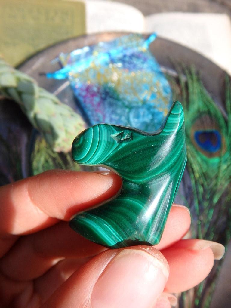 Malachite Horse Head Carving - Earth Family Crystals