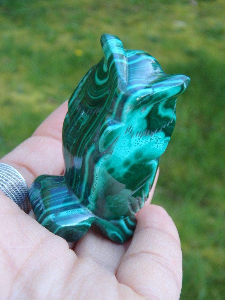 Adorable Polished Malachite Owl Carving Specimen - Earth Family Crystals