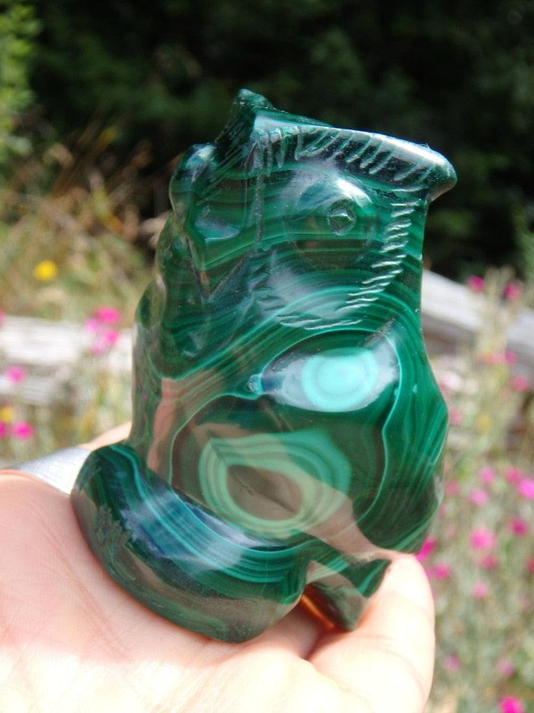 Lovely Green Swirls Malachite Owl Carving - Earth Family Crystals
