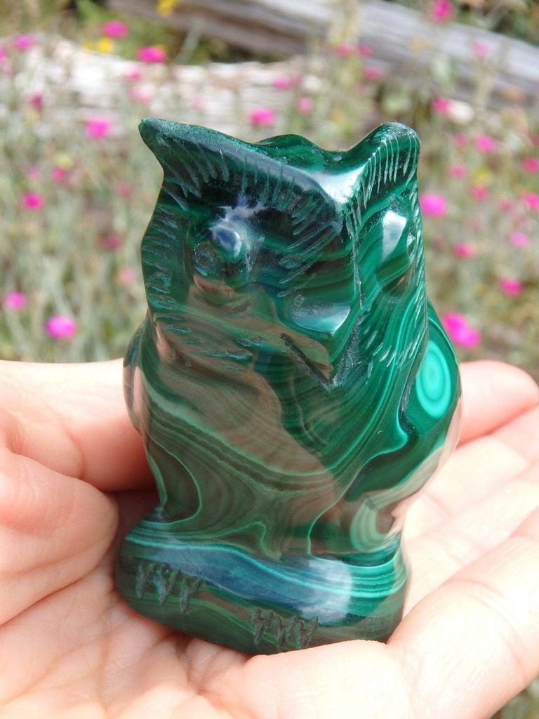 Lovely Green Swirls Malachite Owl Carving - Earth Family Crystals