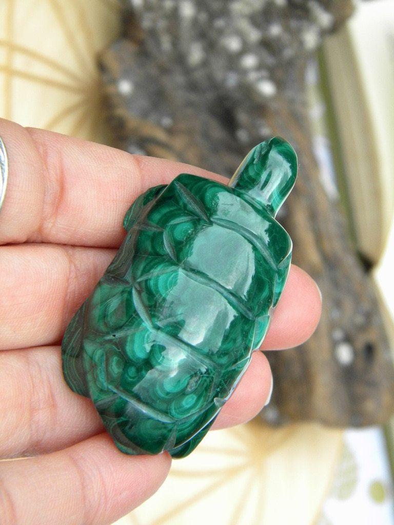 Adorable Green Swirls Malachite Turtle Carving - Earth Family Crystals