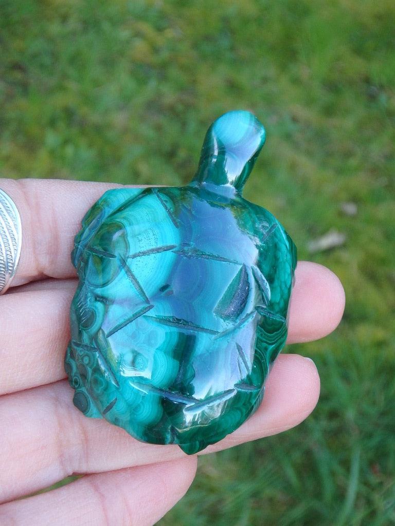 Precious Polished Malachite Turtle Carving Specimen - Earth Family Crystals
