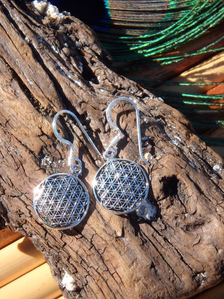 Flower Of Life Earrings In Sterling Silver - Earth Family Crystals