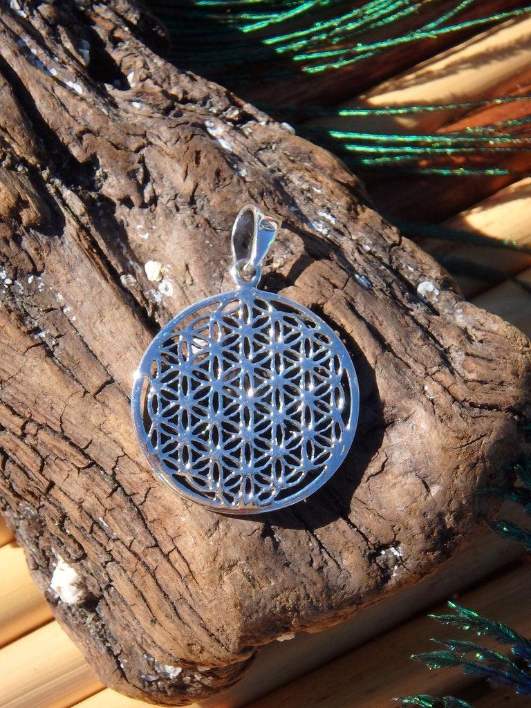 Flower Of Life Sterling Silver Pendant - Earth Family Crystals