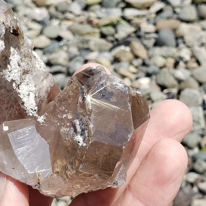 Incredible Rutilated Smoky Quartz Elestial Specimen from Brazil - Earth Family Crystals