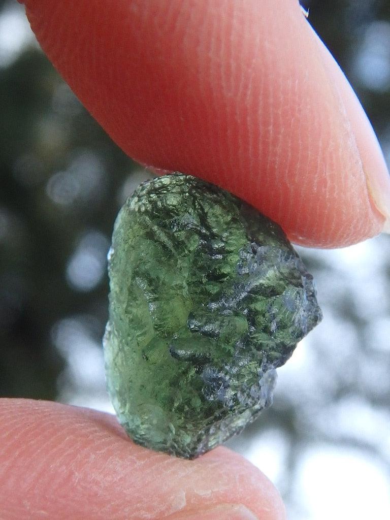 Gorgeous Genuine Green Moldavite Specimen From Czech Republic 2 - Earth Family Crystals