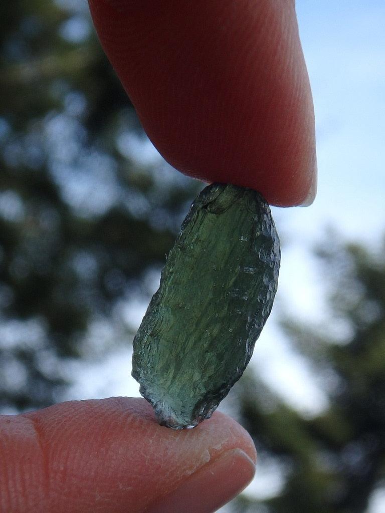 Gorgeous Genuine Green Moldavite Specimen From Czech Republic 3 - Earth Family Crystals