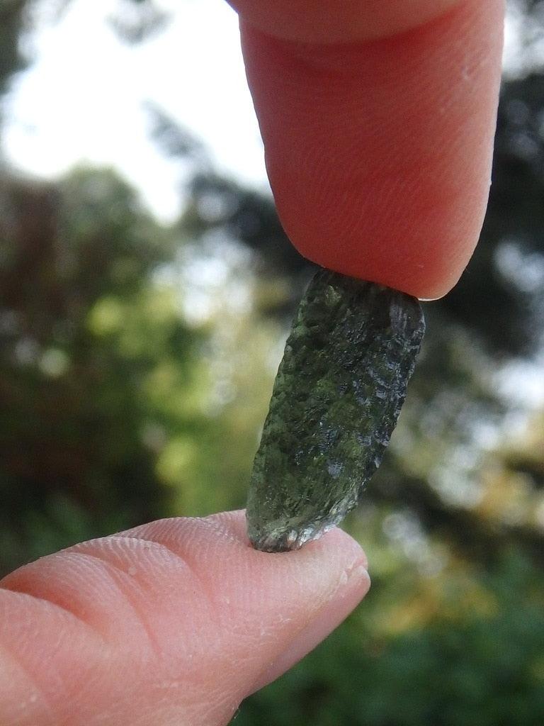 Gorgeous Genuine Green Moldavite Specimen From Czech Republic 3 - Earth Family Crystals