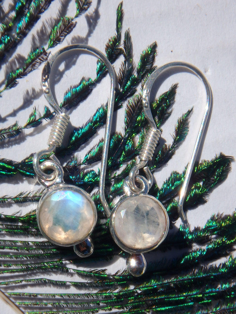 Cute Faceted Dainty Rainbow Moonstone Earrings in Sterling Silver (REDUCED) - Earth Family Crystals