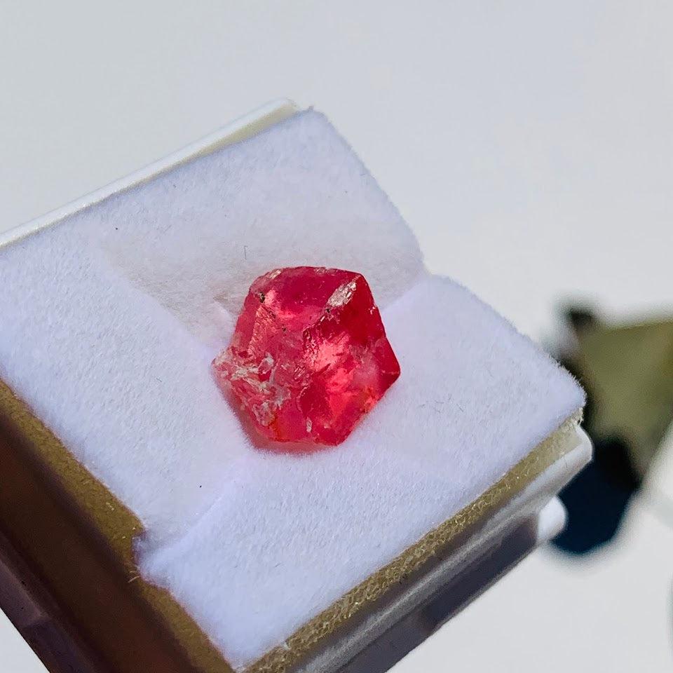 Hot Pink~Rare Single Gemmy Rhodochrosite Crystal from Alma, Co in Collectors Box #1 - Earth Family Crystals