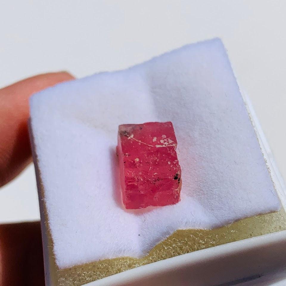 Hot Pink~Rare Single Gemmy Rhodochrosite Crystal from Alma, Co in Collectors Box #2 - Earth Family Crystals