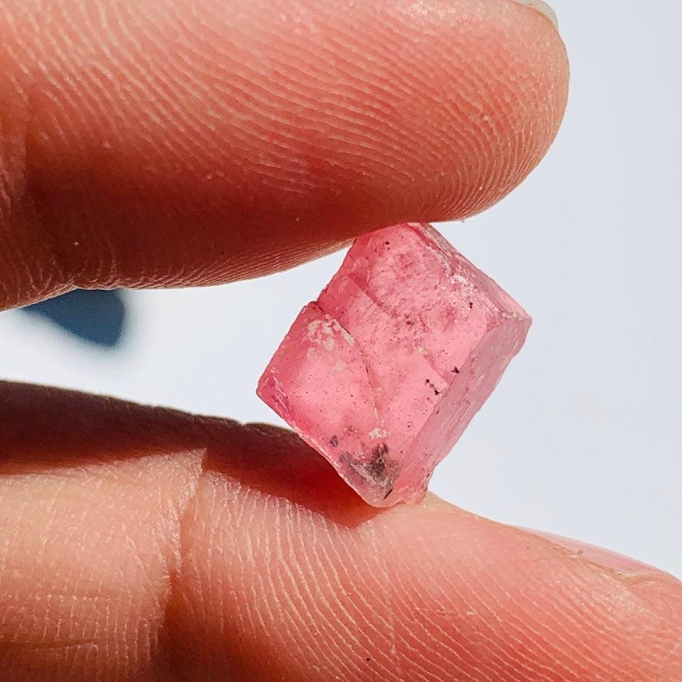 Hot Pink~Rare Single Gemmy Rhodochrosite Crystal from Alma, Co in Collectors Box #2 - Earth Family Crystals