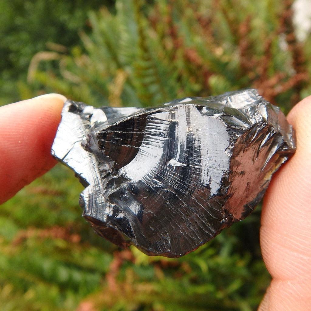 Rare! EMF Protective Noble Shungite Crystal - Earth Family Crystals