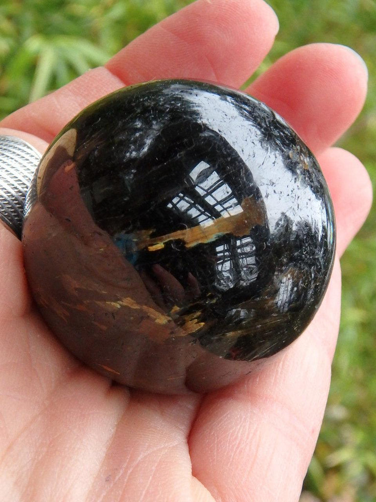 Incredible Golden Lightening Flashes Genuine Greenland Nuummite Sphere - Earth Family Crystals
