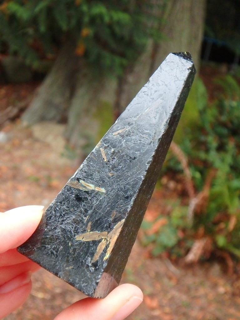 Lots of Flash ~Genuine Nuummite Obelisk Carving - Earth Family Crystals