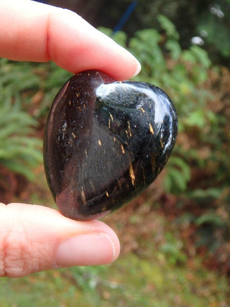 Golden Flashes of Light~Genuine Nuummite Heart - Earth Family Crystals
