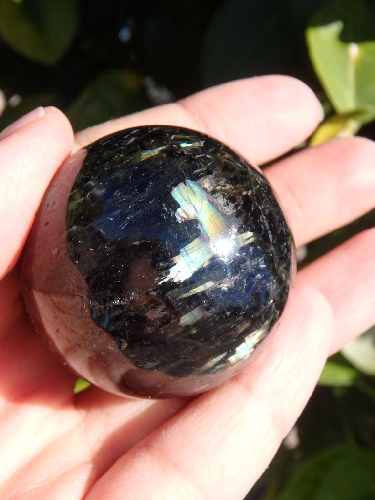 Rare! Massive Rainbow Flash Genuine Nuummite Gemstone Sphere - Earth Family Crystals