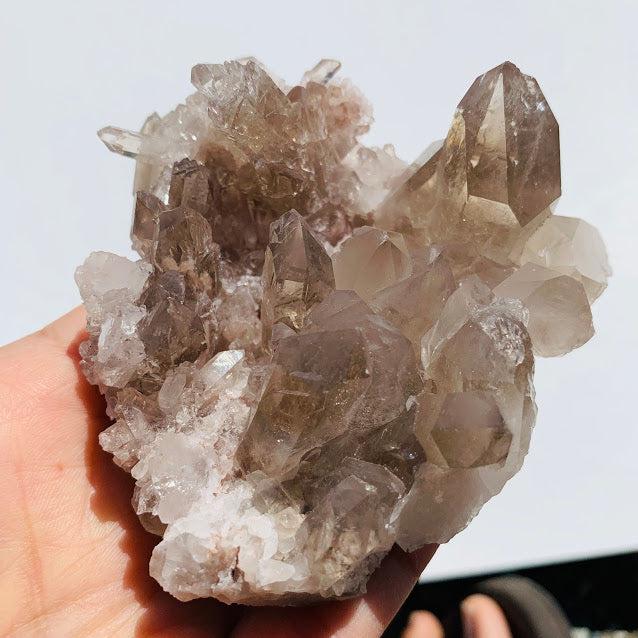 Incredible Rutilated Smoky Quartz Large Druzy Cluster From Brazil - Earth Family Crystals