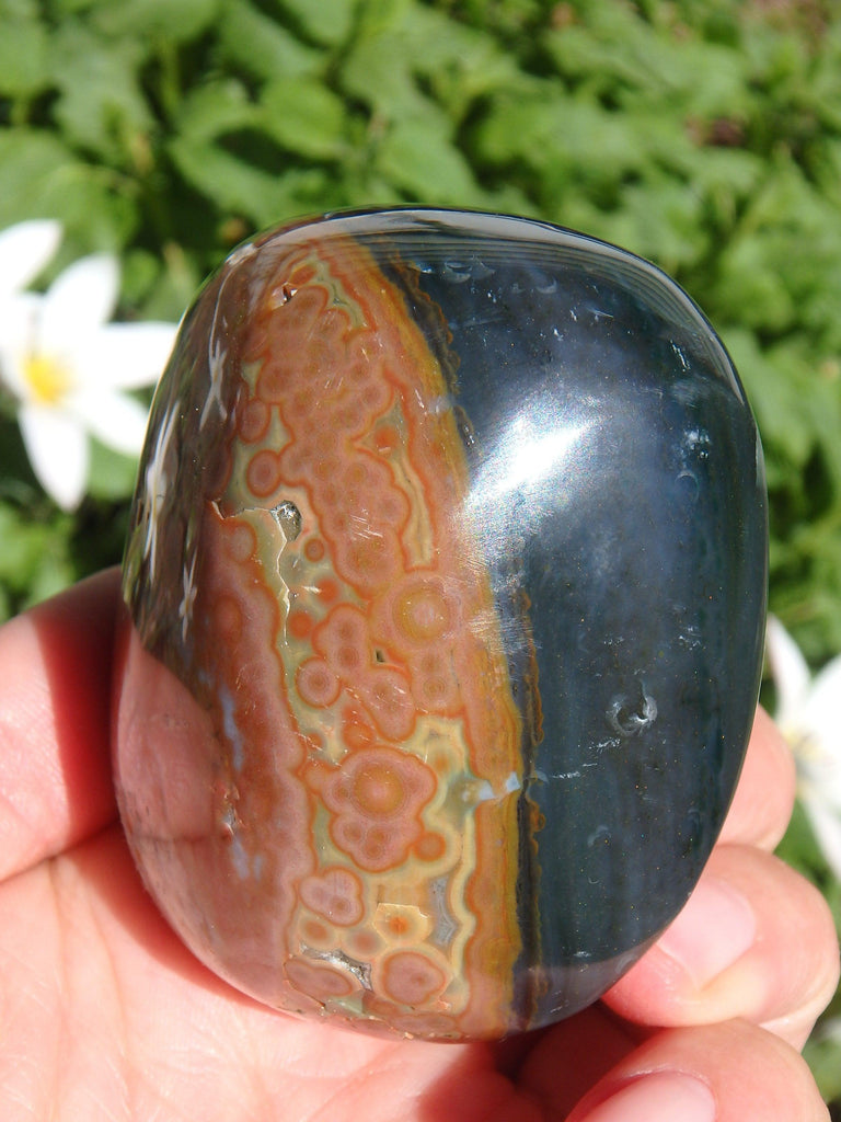 Creamy Orbs and Caves Madagascar Ocean Jasper Specimen - Earth Family Crystals