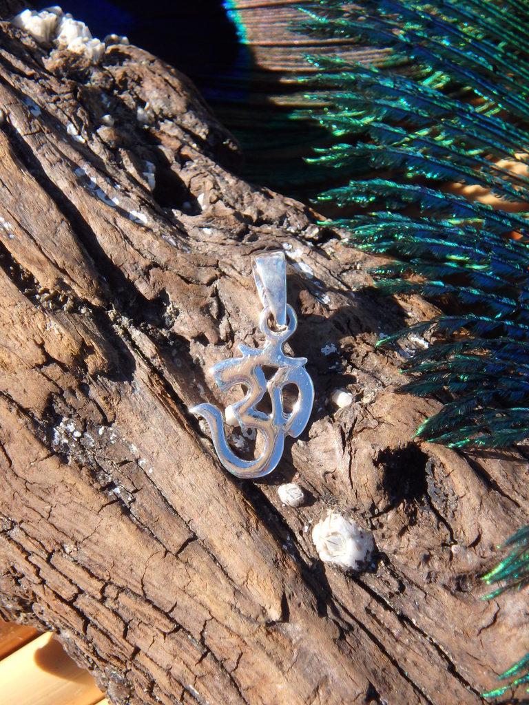 OHM Sterling Silver Pendant - Earth Family Crystals