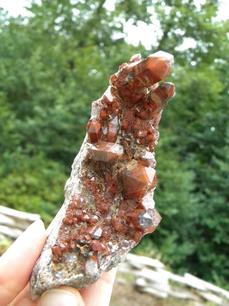 Gorgeous Large  Orange River Quartz Druzy Specimen - Earth Family Crystals