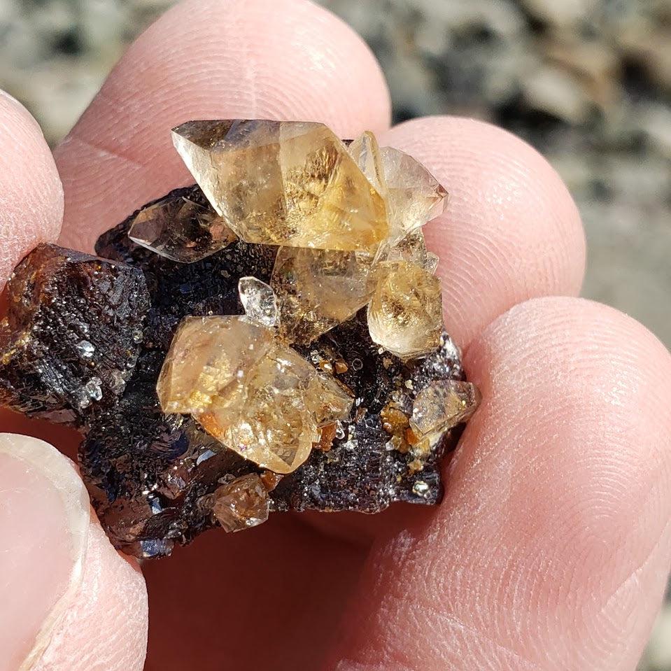 Famous Locality~Elmwood Mine Golden Dainty Stellar Beam Calcite Points nestled in Sphalerite Matrix - Earth Family Crystals