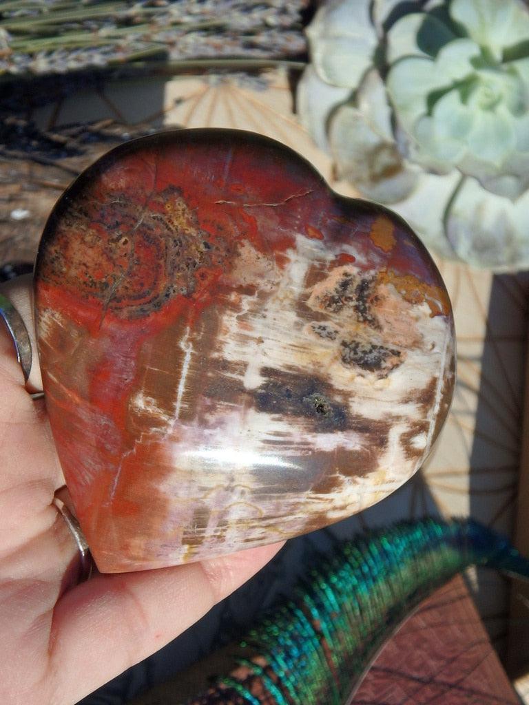 Petrified Wood Gemstone Heart Carving - Earth Family Crystals