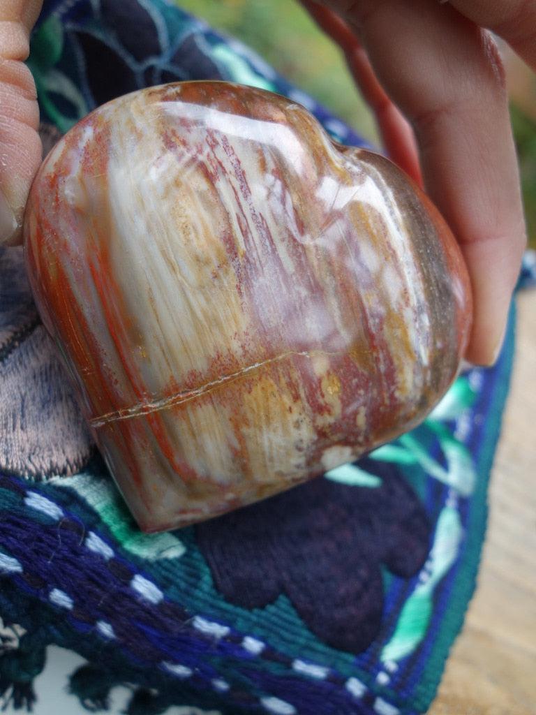 Fabulous Color Petrified Wood Love Heart Carving - Earth Family Crystals