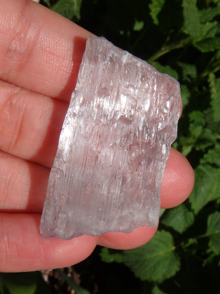 Pretty Pink Sheen Natural Kunzite Specimen - Earth Family Crystals