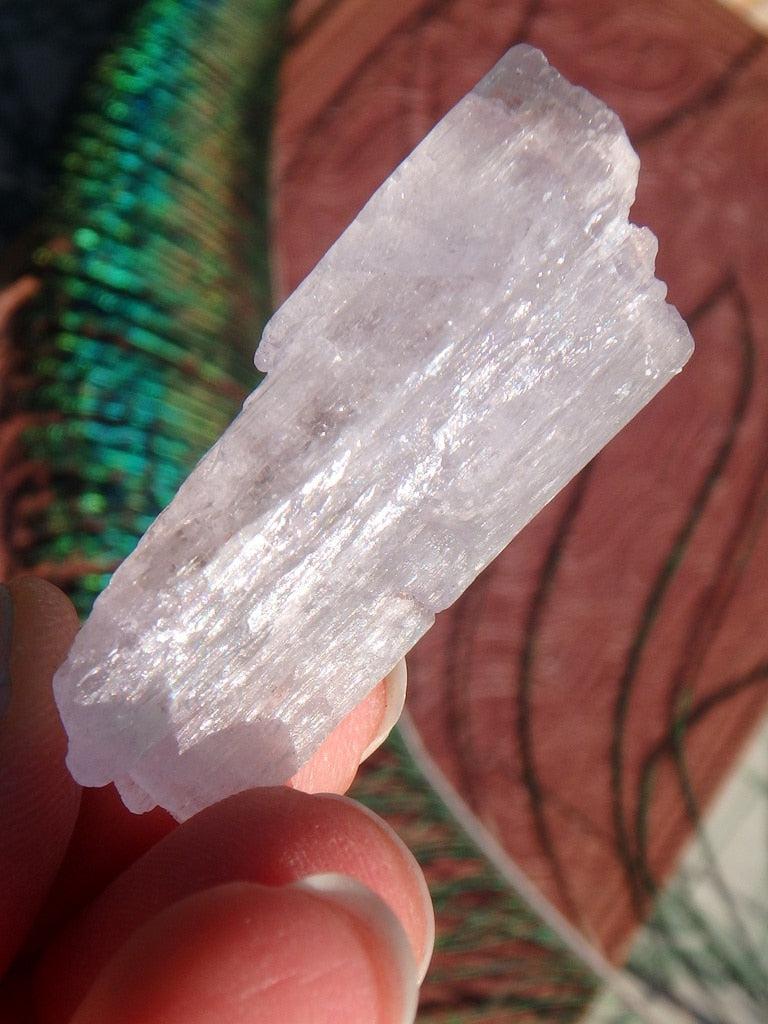 Sweet Pink Kunzite Specimen 3 - Earth Family Crystals